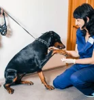 Ветеринарная клиника Пегас Фото 8 на проекте VetSpravka.ru