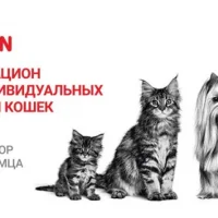 Зоомагазин Любимец Фото 2 на проекте VetSpravka.ru Зоомагазин Любимец Фото 2 на проекте VetSpravka.ru