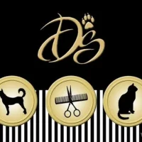 Груминг-салон Doggy Style Фото 2 на проекте VetSpravka.ru Груминг-салон Doggy Style Фото 2 на проекте VetSpravka.ru