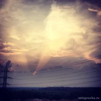 Ноябрьский центр ветеринарии Фото 2 на проекте VetSpravka.ru Ноябрьский центр ветеринарии Фото 2 на проекте VetSpravka.ru